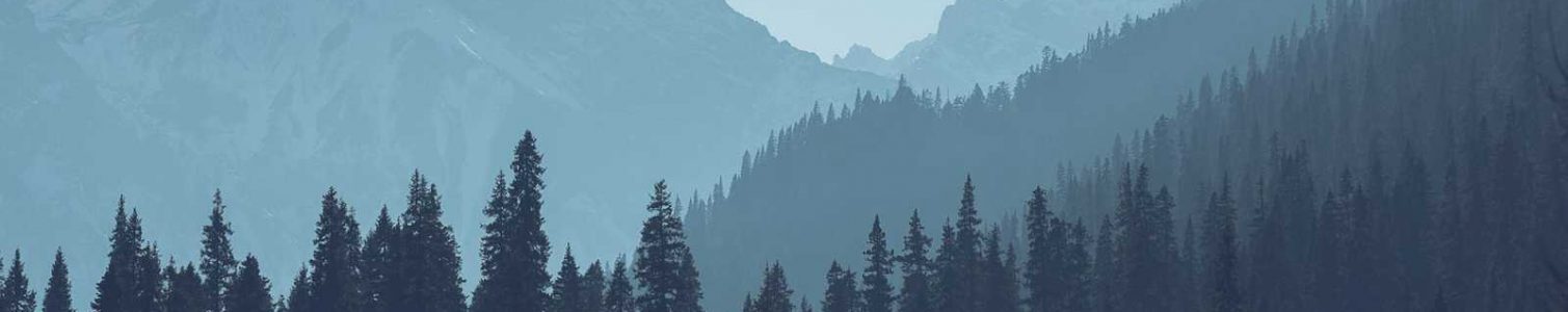 Products after the krona virus